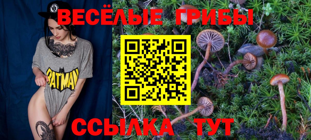 Галлюциногенные грибы мицелий Рязань