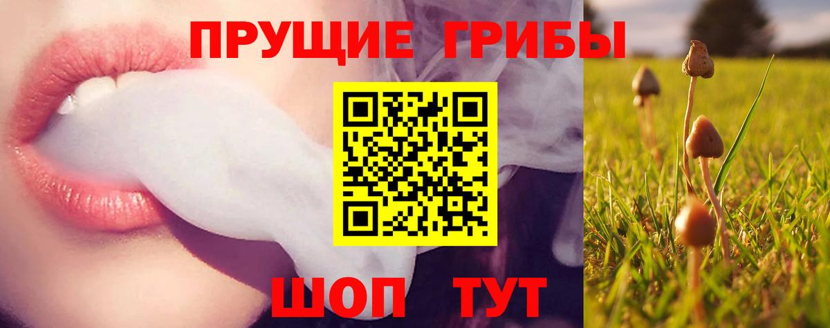 Псилоцибиновые грибы прущие грибы  Вход с VPN  Рязань  Псилоцибиновые грибы мицелий 